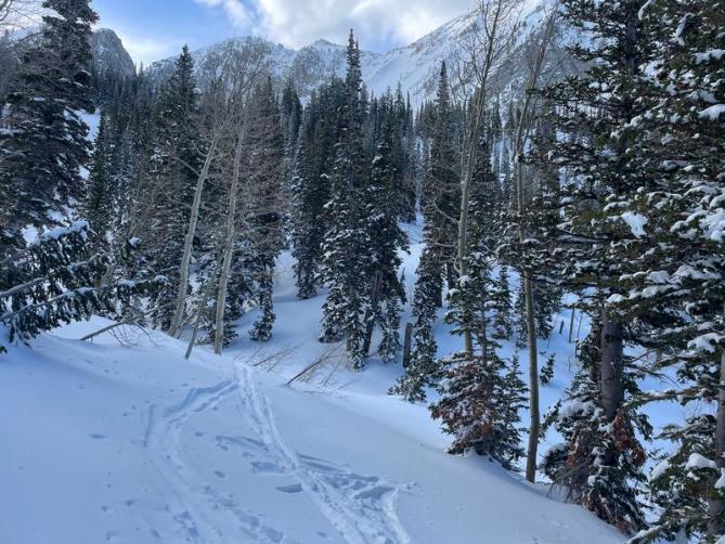 <b>Figure 18:</b> The group's tracks approaching the Big Willow Cirque as seen the following day. (<a href=javascript:void(0); onClick=win=window.open('https://classic.avalanche.state.co.us/caic/media/full/acc_878_52673.jpg','caic_media','resizable=1,height=820,width=840,scrollbars=yes');win.focus();return false;>see full sized image</a>)